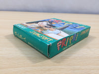 ue5882 Pri Pri Primitive Princess! BOXED GameBoy Game Boy Japan