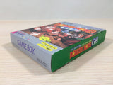 ue2303 Super Donkey Kong GB BOXED GameBoy Game Boy Japan