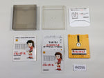 dk2255 Volleyball BOXED Famicom Disk Japan