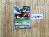 cd9362 Torterra - PROMO 076/DP-P Pokemon Card TCG Japan