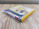 fh6501 Pokemon Detective Pikachu BOXED Nintendo 3DS Japan