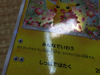 ce2327 Pikachu PROMO PROMO 224/SM-P Pokemon Card TCG Japan