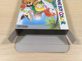 ue5198 The Legend of Zelda Link's Awakening DX BOXED GameBoy Game Boy Japan