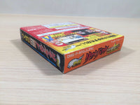 ue3242 Real Bout Fatal Fury Special BOXED GameBoy Game Boy Japan