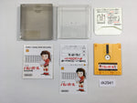 dk2941 Volleyball BOXED Famicom Disk Japan