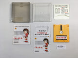 dk2941 Volleyball BOXED Famicom Disk Japan