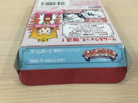 ue1552 Game Boy Gallery 1 Mario BOXED GameBoy Game Boy Japan