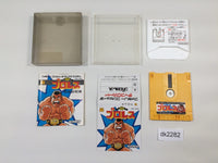 dk2282 Pro Wrestling Famicom Wrestling Association BOXED Famicom Disk Japan