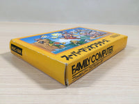 ue5096 Super Mario Bros. BOXED NES Famicom Japan