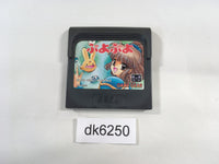 dk6250 Puyo Puyo Sega Game Gear Japan