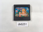 dk6251 Wonder Boy Sega Game Gear Japan