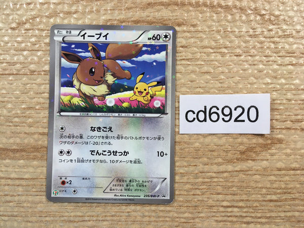 cd6920 Eevee - PROMO 235/BW-P Pokemon Card TCG Japan – J4U.co.jp