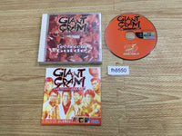 fh8550 Giant Gram All Japan ProWrestling 2 Dreamcast Japan