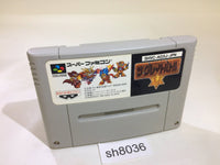 sh8036 The Great Battle 5 V SNES Super Famicom Japan