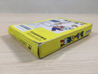 ue5429 Yoshi Egg Yossy BOXED NES Famicom Japan