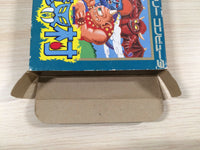 ue5323 Ghosts'n Goblins Makaimura BOXED NES Famicom Japan