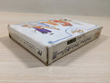 ue5110 Final Fantasy 3 BOXED NES Famicom Japan