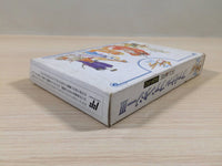 ue5433 Final Fantasy 3 BOXED NES Famicom Japan