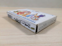 ue5434 Final Fantasy 3 BOXED NES Famicom Japan