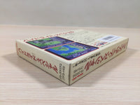 ue5111 Hydlide Special BOXED NES Famicom Japan