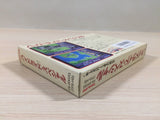 ue5111 Hydlide Special BOXED NES Famicom Japan