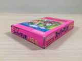 ue5435 Super Mario USA BOXED NES Famicom Japan