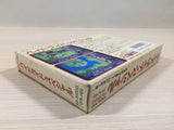 ue5113 Hydlide Special BOXED NES Famicom Japan