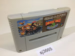 sj3665 Super Donkey Kong Country 3 SNES Super Famicom Japan