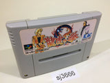 sj3666 Art Of Fighting SNES Super Famicom Japan