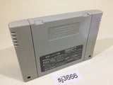 sj3666 Art Of Fighting SNES Super Famicom Japan