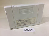 si6204 SF Memory F ZERO Torneko  SNES Super Famicom Japan