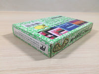 ue4581 Battletoads BOXED NES Famicom Japan