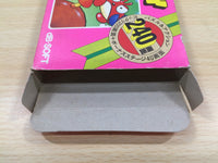 ue5669 Flappy BOXED NES Famicom Japan