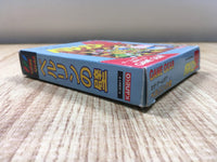 dk3937 Berlin no Kabe BOXED Sega Game Gear Japan