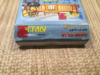 dk3937 Berlin no Kabe BOXED Sega Game Gear Japan