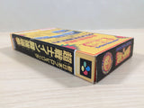 ue4381 Shin Nippon Pro Wrestling BOXED SNES Super Famicom Japan