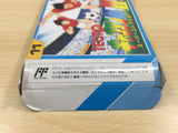 ue5942 Captain Tsubasa II 2 BOXED NES Famicom Japan