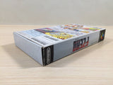 ue4384 F Zero BOXED SNES Super Famicom Japan