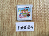 fh6584 Animal Crossing Happy Home Designer Nintendo 3DS Japan