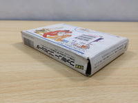 ue5817 Final Fantasy 3 BOXED NES Famicom Japan