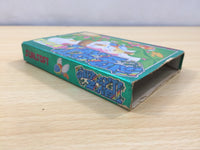 ue5827 Fantasy Zone II 2 Opa Opa no Namida BOXED NES Famicom Japan