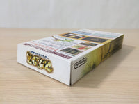 ue1355 Marvelous Mouhitotsu no Takarajima BOXED SNES Super Famicom Japan