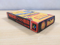 ue5975 Shin Nippon Pro Wrestling BOXED SNES Super Famicom Japan