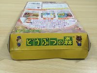 ue6004 Animal Crossing Doubutsuno Mori BOXED N64 Nintendo 64 Japan