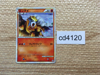 cd4120 Entei - PROMO 059/L-P Pokemon Card TCG Japan