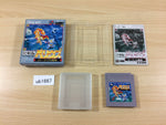 ub1667 Rolan's Curse Velious Roland no Majuu BOXED GameBoy Game Boy Japan