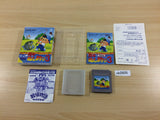 ub2805 Kawa no Nushi Tsuri 3 Fishing BOXED GameBoy Game Boy Japan