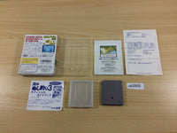 ub2805 Kawa no Nushi Tsuri 3 Fishing BOXED GameBoy Game Boy Japan