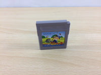 ub2805 Kawa no Nushi Tsuri 3 Fishing BOXED GameBoy Game Boy Japan