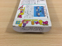 ud8029 Magical Taru Ruto 2 BOXED NES Famicom Japan